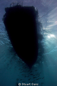 The fish gather under the boat, the sun is low on the hor... by Stuart Ganz 